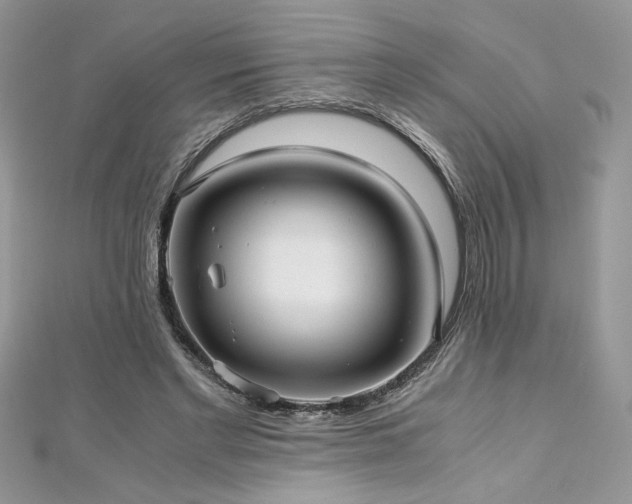 X0000113140493200909041211