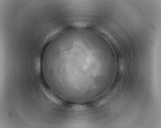 X0000113140494200909041211