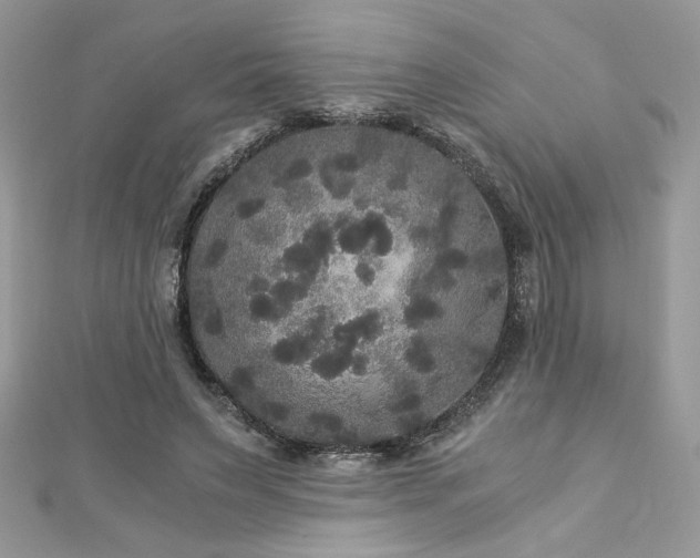 X0000113140495200909041211