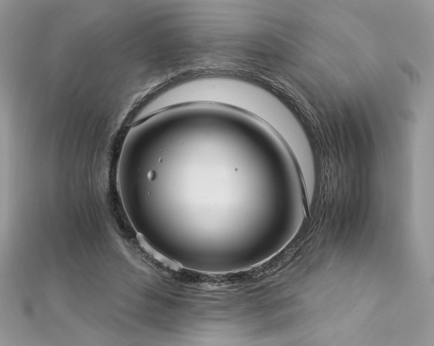 X0000113140496200909041211