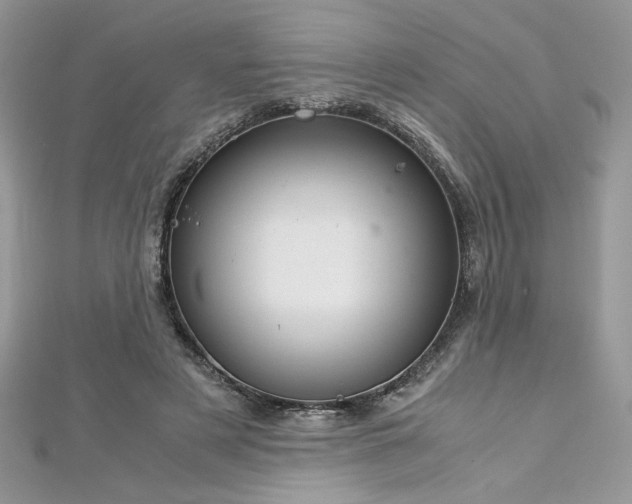 X0000113140497200909041211