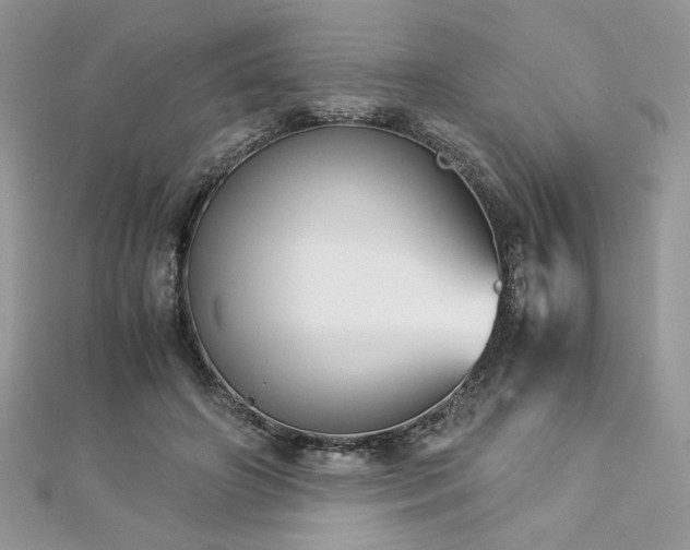 X0000113140498200909041211