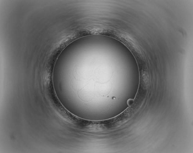 X0000113140499200909041211