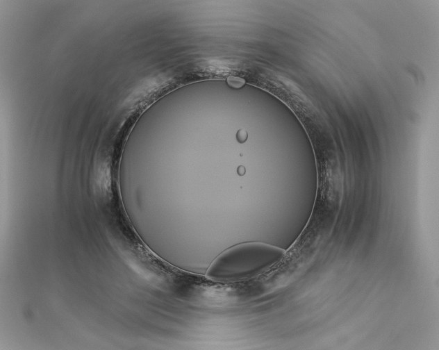 X0000113140500200909041211