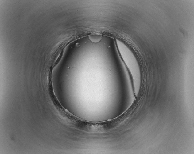 X0000113140501200909041211