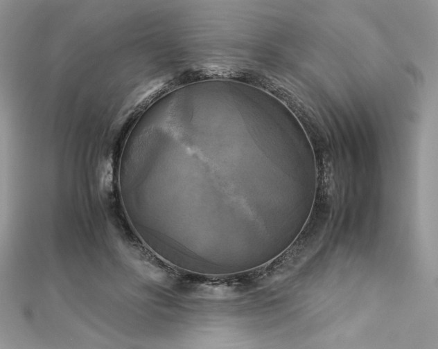 X0000113140502200909041211