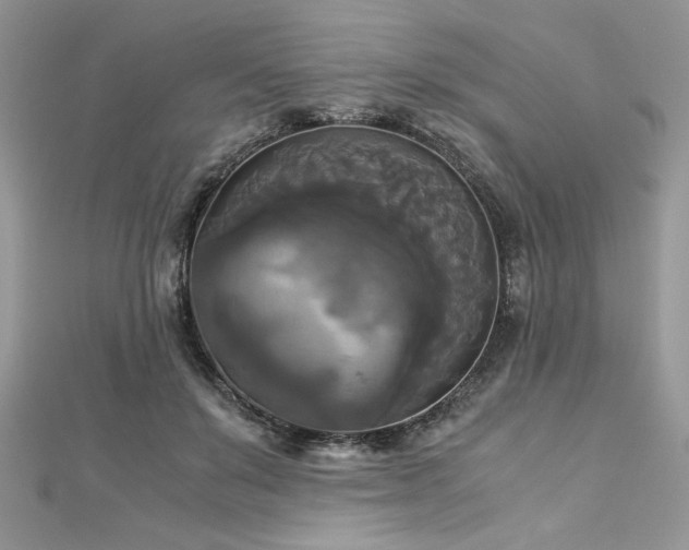 X0000113140503200909041211