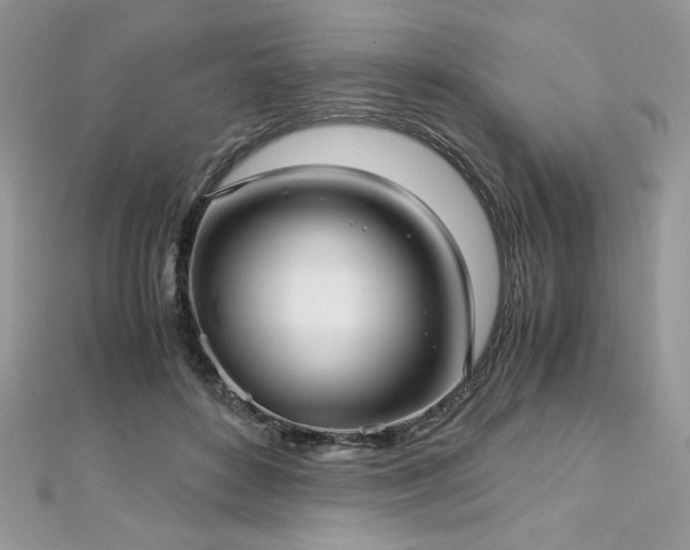 X0000113140504200909041211