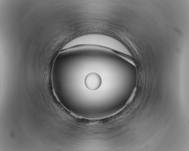 X0000113140505200909041211