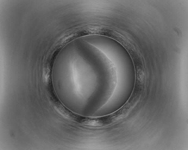 X0000113140507200909041211