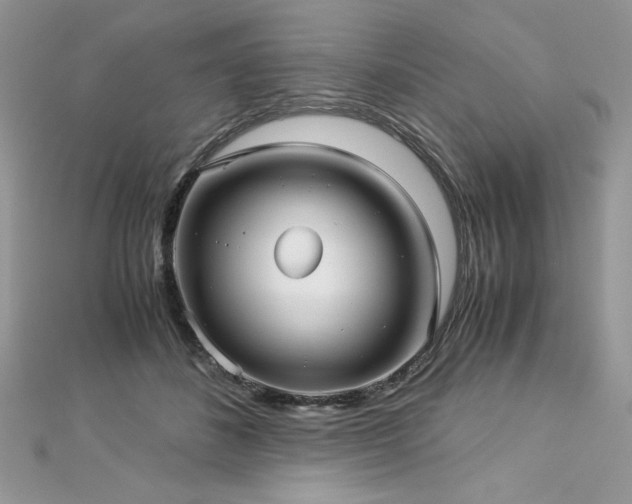 X0000113140508200909041211