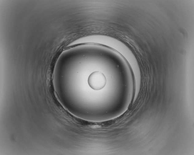 X0000113140509200909041211