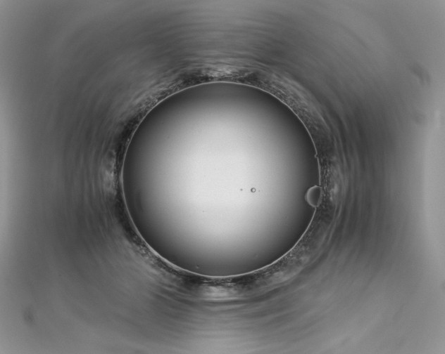 X0000113140510200909041211