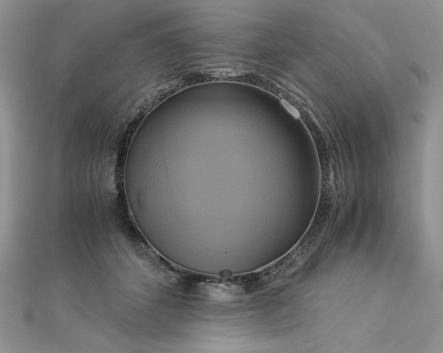 X0000113140512200909041211