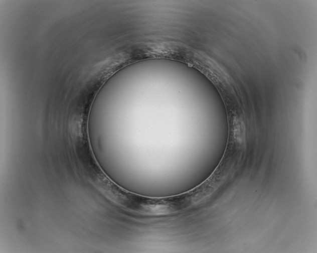 X0000113140514200909041211