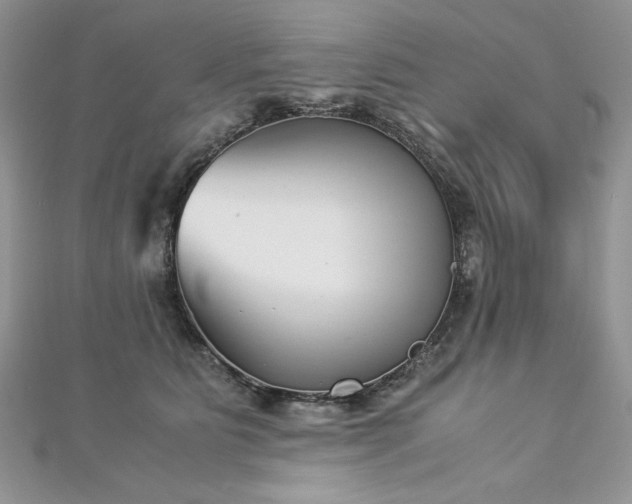 X0000113140515200909041211