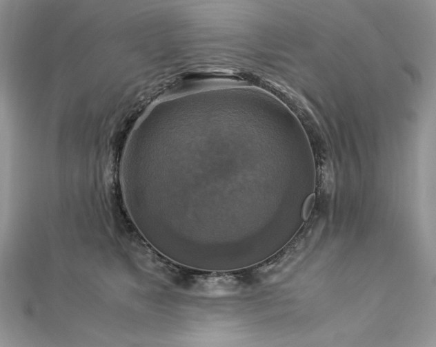 X0000113140517200909041211