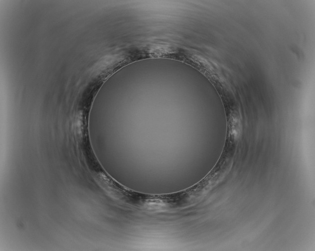 X0000113140519200909041211