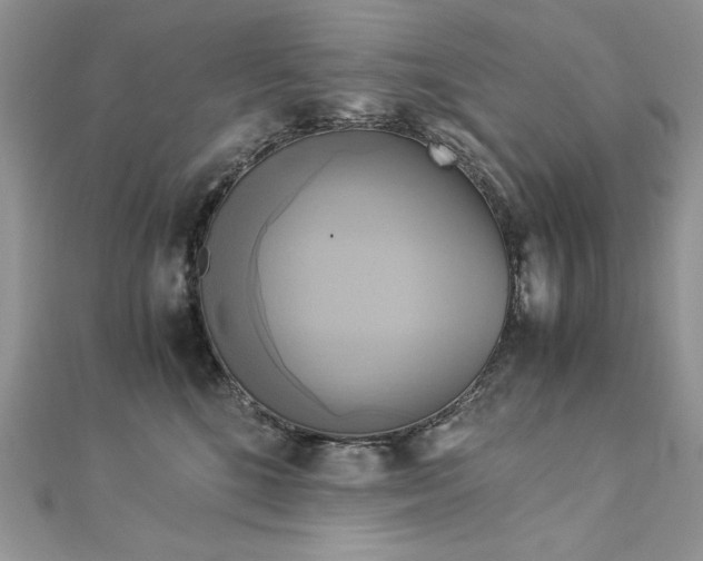 X0000113140520200909041211