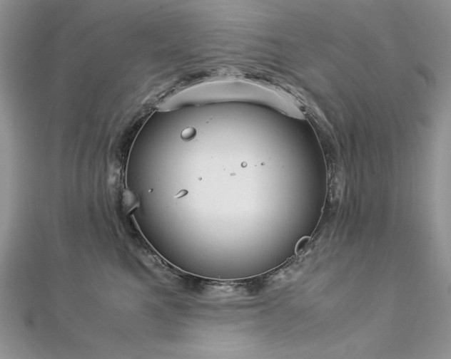 X0000113140521200909041211