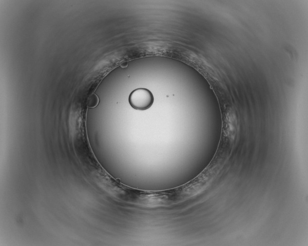 X0000113140522200909041211