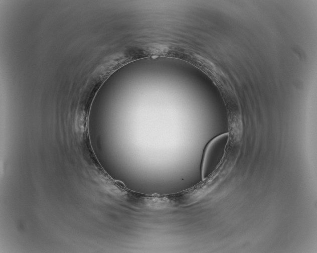 X0000113140525200909041211