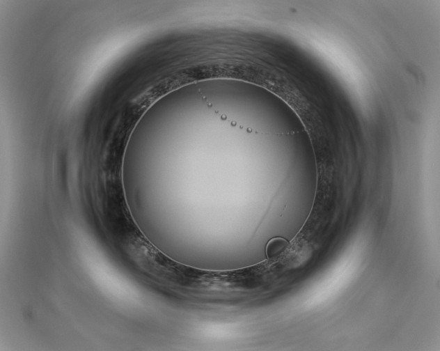 X0000113140526200909041211