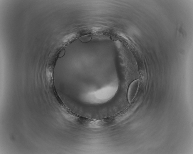 X0000113140527200909041211