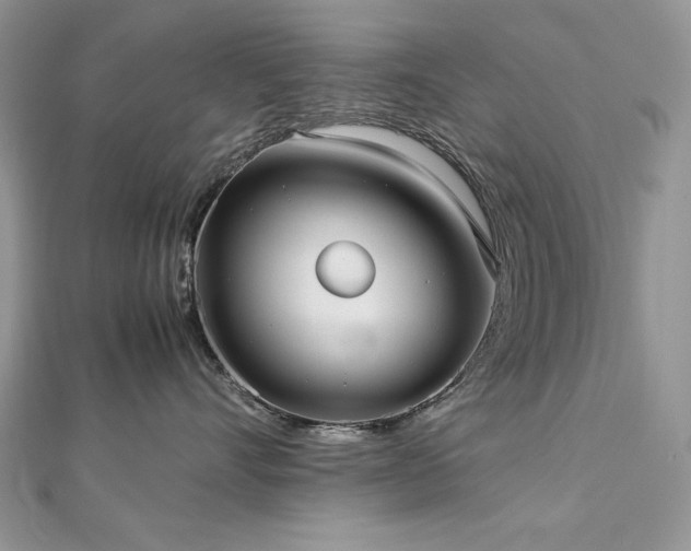 X0000113140528200909041211