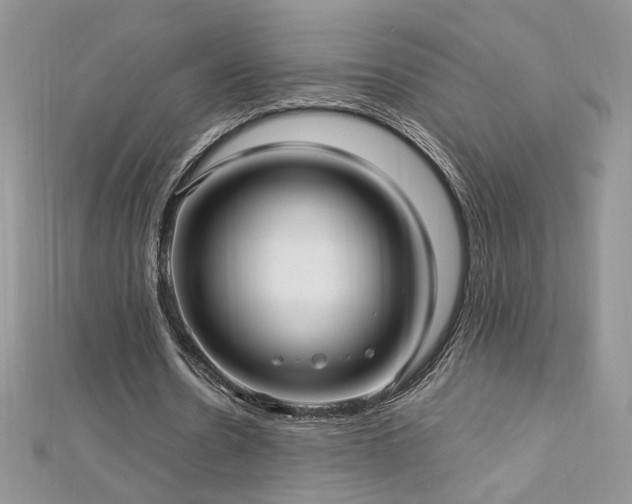 X0000113140530200909041210