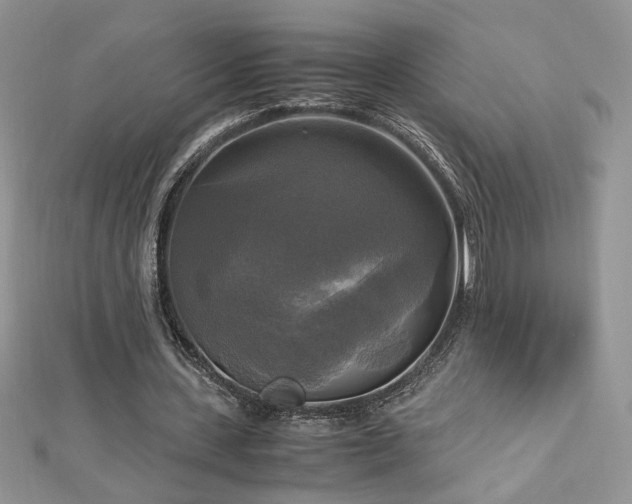 X0000113140531200909041210