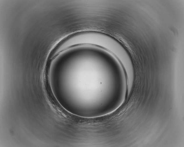 X0000113140532200909041210
