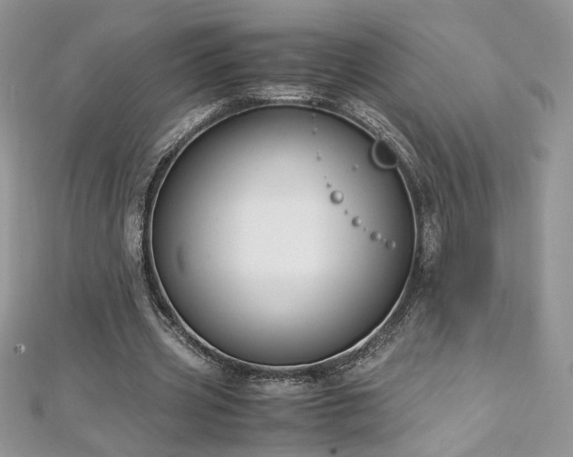 X0000113140533200909041210