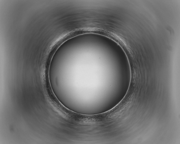 X0000113140535200909041210