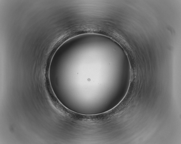 X0000113140538200909041210