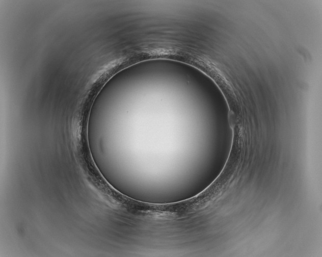 X0000113140539200909041210