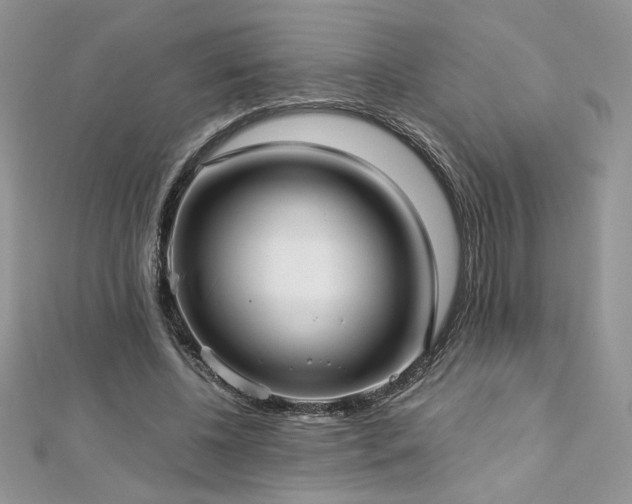 X0000113140540200909041210