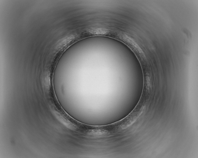 X0000113140541200909041210