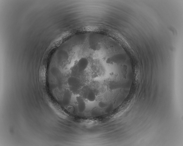 X0000113140542200909041210