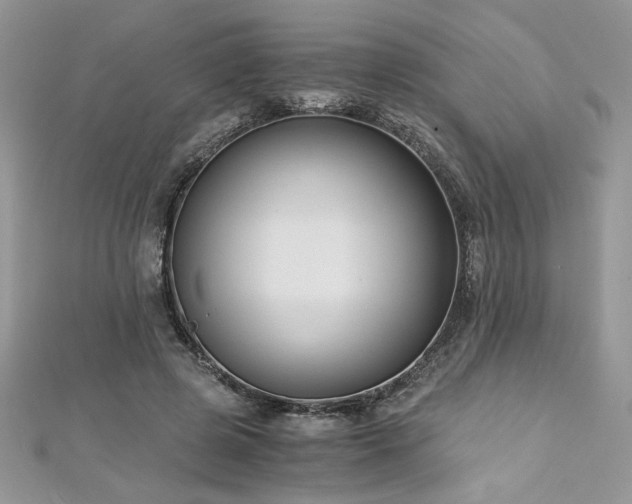 X0000113140545200909041211