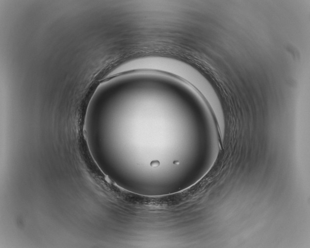 X0000113140546200909041211