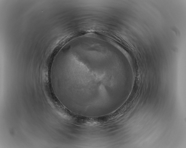 X0000113140547200909041211