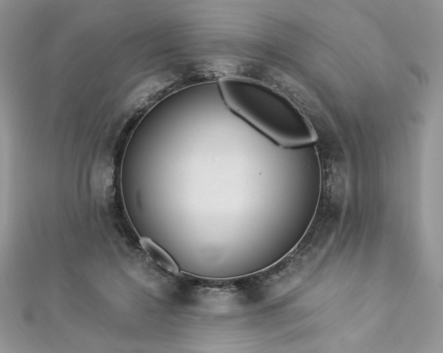 X0000113140548200909041211