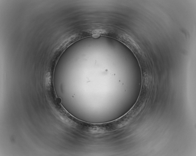 X0000113140549200909041211