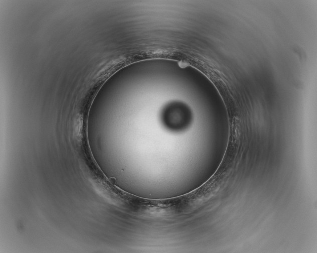 X0000113140550200909041211