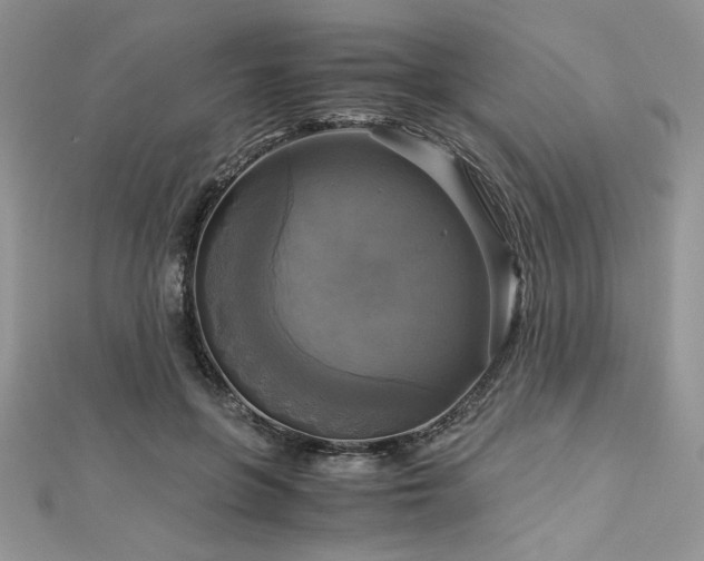 X0000113140551200909041211