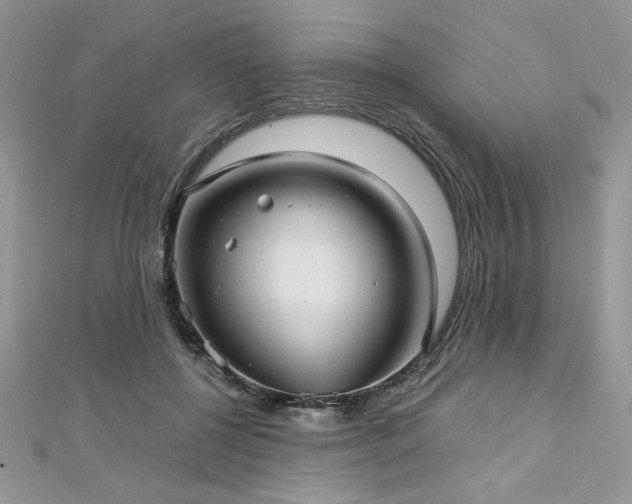 X0000113140552200909041211