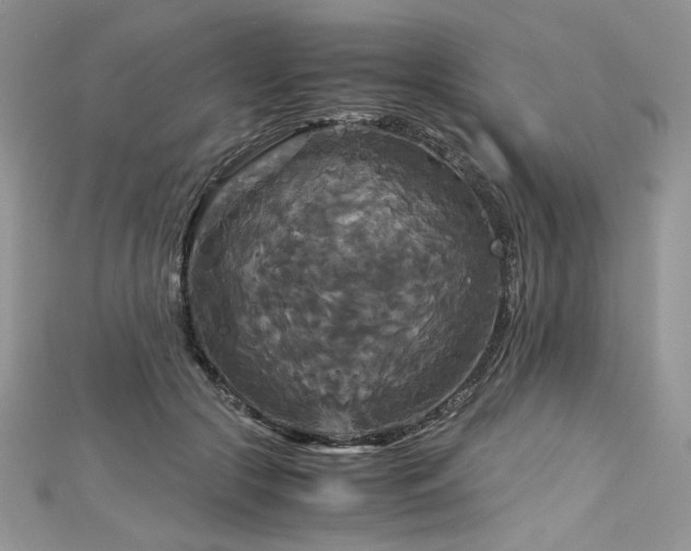 X0000113140553200909041211