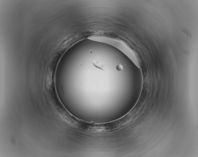 X0000113140554200909041211