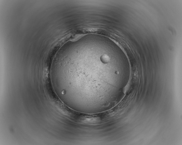 X0000113140555200909041211